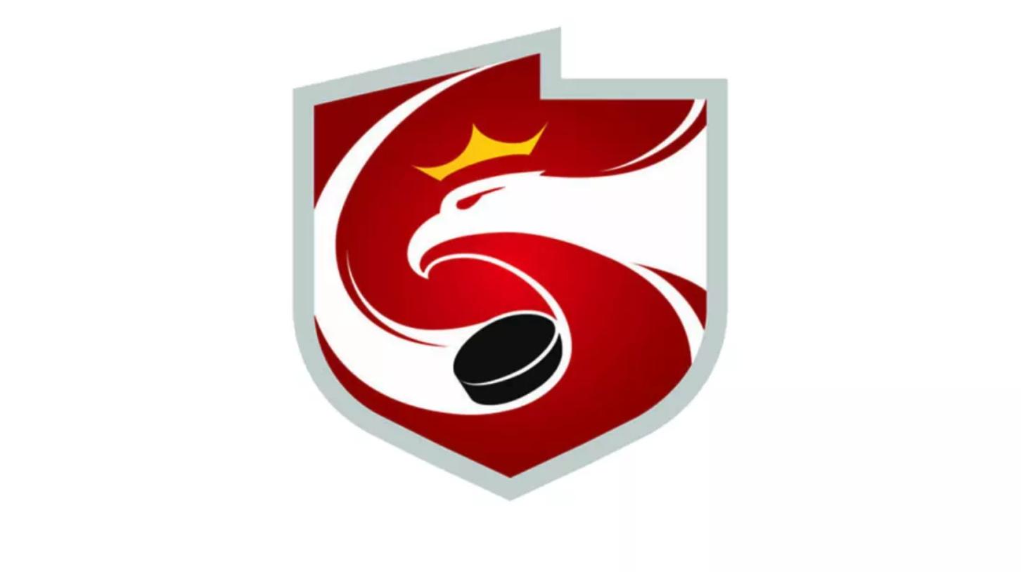 Polski Związek Hokeja na Lodzie zaprasza na szkolenie trenerów grup kobiecych, które odbędzie się w Sosnowcu w dniach 16 – 17 października 2026 r. 