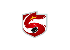 Szkolenie trenerów grup kobiecych hokeja na lodzie