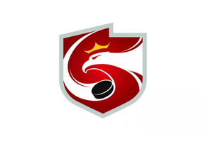 Szkolenie trenerów grup kobiecych hokeja na lodzie