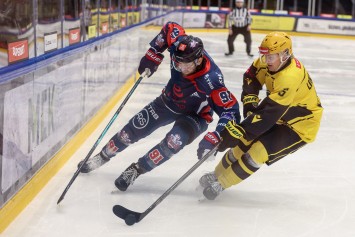 31.10.2026 THL GKS Katowice - KH Energa Toruń 