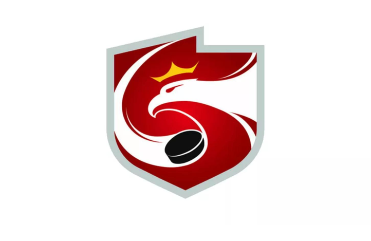 Polski Związek Hokeja na Lodzie zaprasza na szkolenie trenerów grup kobiecych, które odbędzie się w Sosnowcu w dniach 16 – 17 października 2026 r. 