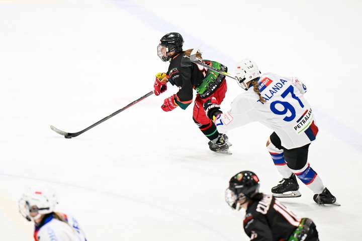 Terminarz TAURON Ligi Hokeja Kobiet na sezon 2026/2027