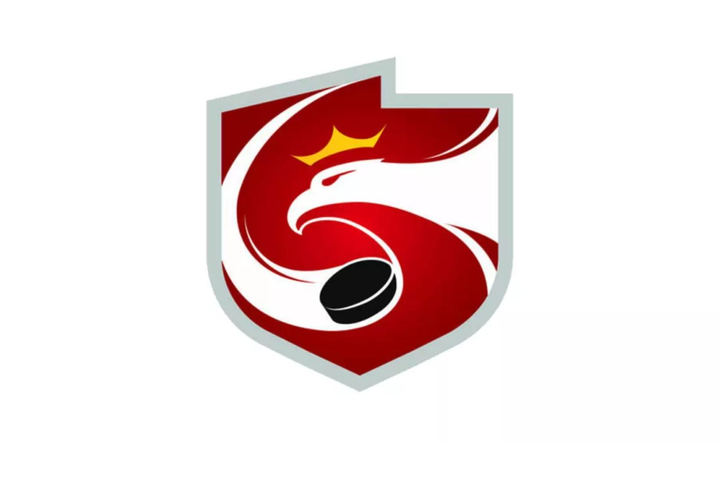 Polski Związek Hokeja na Lodzie zaprasza na szkolenie trenerów grup kobiecych, które odbędzie się w Sosnowcu w dniach 16 – 17 października 2026 r. 